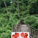 너한쌈나한쌈 이미지