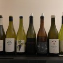 도그문(DOG MOON) 이미지