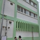 동성초 앞 이미지