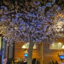 주안역 남광장 | 주안 맛집 분위기 좋은 이자카야 <다요 주안본점> 솔직후기