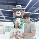 인천강아지분양 테디럽 이미지