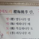 앵매도리한우