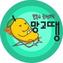 땡가구 | 춘천 럭셔리캠핑 망고땡 (글램핑동+바베큐존+수영장) 후기