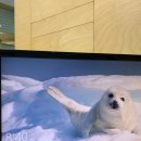 나드리김밥나라 | 오래..오래망갑,,오랜마ㅏㄴ