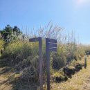 제주아를 | 제주 성산 섭지코지 감성여행 추천 유민 아르누보 뮤지엄 미술관 리뷰