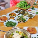 동강별아래 이미지