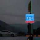 정금마을 차밭 앞 이미지