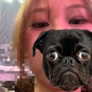 슴콘 후기 : 엉덩이가 아파요