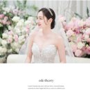 구성 | 본식스냅 업체 비교 총정리 (가격·구성·후기)｜DVD 아이폰스냅까지 한 번에 정리