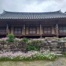 수지힐링