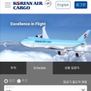 마스크 우체국 국제 특송, EMS 우체국 국제 특송, ems배송, 대한항공카고 조회, 친절한 우체국배송대행안내