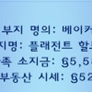 심베이커 이미지