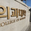 439 이미지