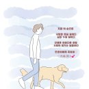 황금나무 이미지