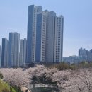 해수천2호 네이버블로그