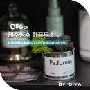 제주 향수 파는곳 파퓨무스 남자 여자 인기 향수 브랜드 추천