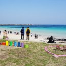 제주베아툼 이미지