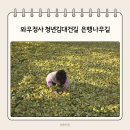 산업대 은행나무길 | 2025년 가을 단풍 명소 추천 용인 와우정사 &amp; 청년김대건길 은행나무길 후기