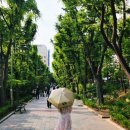 양산 강력추천 초경량 양산 완벽에 가까운 차단율까지 고싸머기어 폴딩 엄브렐러