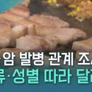 붉은 고기 나쁘다? "고기 종류가 특정 암 사망 위험과 관련" / YTN 사이언스 이미지