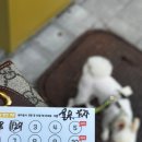 댕댕그루밍 네이버블로그