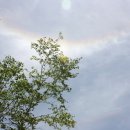 하늘무지개어린이집 이미지