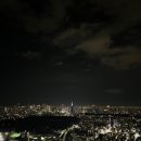 11500-5-46-104 | 도쿄 4박5일 일정 코스 추천 맛집 숙소 총정리(+남편과 함께한)