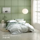 세사리빙 이미지