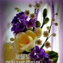 옹달샘약국 이미지
