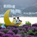 지세포 이미지