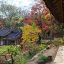 백운동정원 이미지