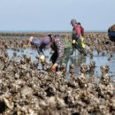 범일바이오텍 | 버려지는 굴껍데기로 '24억 대박'…통영 숨통 틔운 '기적의 남자'