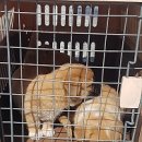 반구대로 이미지