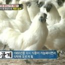 학성농장 이미지
