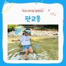 푸른숲판교 | [판교 아이랑 갈 만한 곳] 대형카페 판교몽