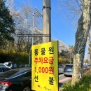 전주 가볼만한곳 &#34;전주동물원&#34; 봄 꽃놀이 후기 / 주차 입장료