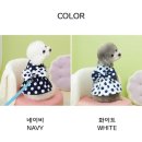 해피데이애견 | 쇼핑몰 추천❗LITTLEPIRE 리틀파이어 애견의류 / 강아지옷 / 애견옷 / 애견의류쇼핑몰 / 후기 / 강아지패션