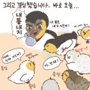 미니메추리 네이버블로그