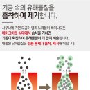 남항초등학교 이미지