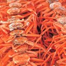 더조은수산 이미지