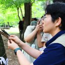 장수청과 이미지