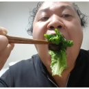 김준호의대단한갈비제주용담점