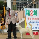 화수초등학교 이미지