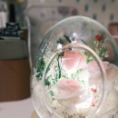 시들지 않는 LED플라워 공예 | 시들지 않는 아름다움, 베라플리 프리저브드플라워 LED무드등 후기