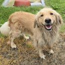 서학주유소 이미지