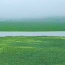 우포늪 생태 사진전 이미지