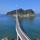 2026년6월18일~21일.3박4일 [섬&amp;정원] 완도 금당도/군산 명도~말도/신안 자은도,가란도/여수 낭도/아가페정원/보성 윤제림 등 이미지