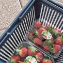 가덕농장 이미지