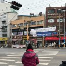 다이소 건너편 횡단보도 이미지