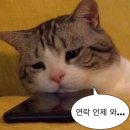[제주개인스냅_햇살작업실] 제주도 개인스냅 후기